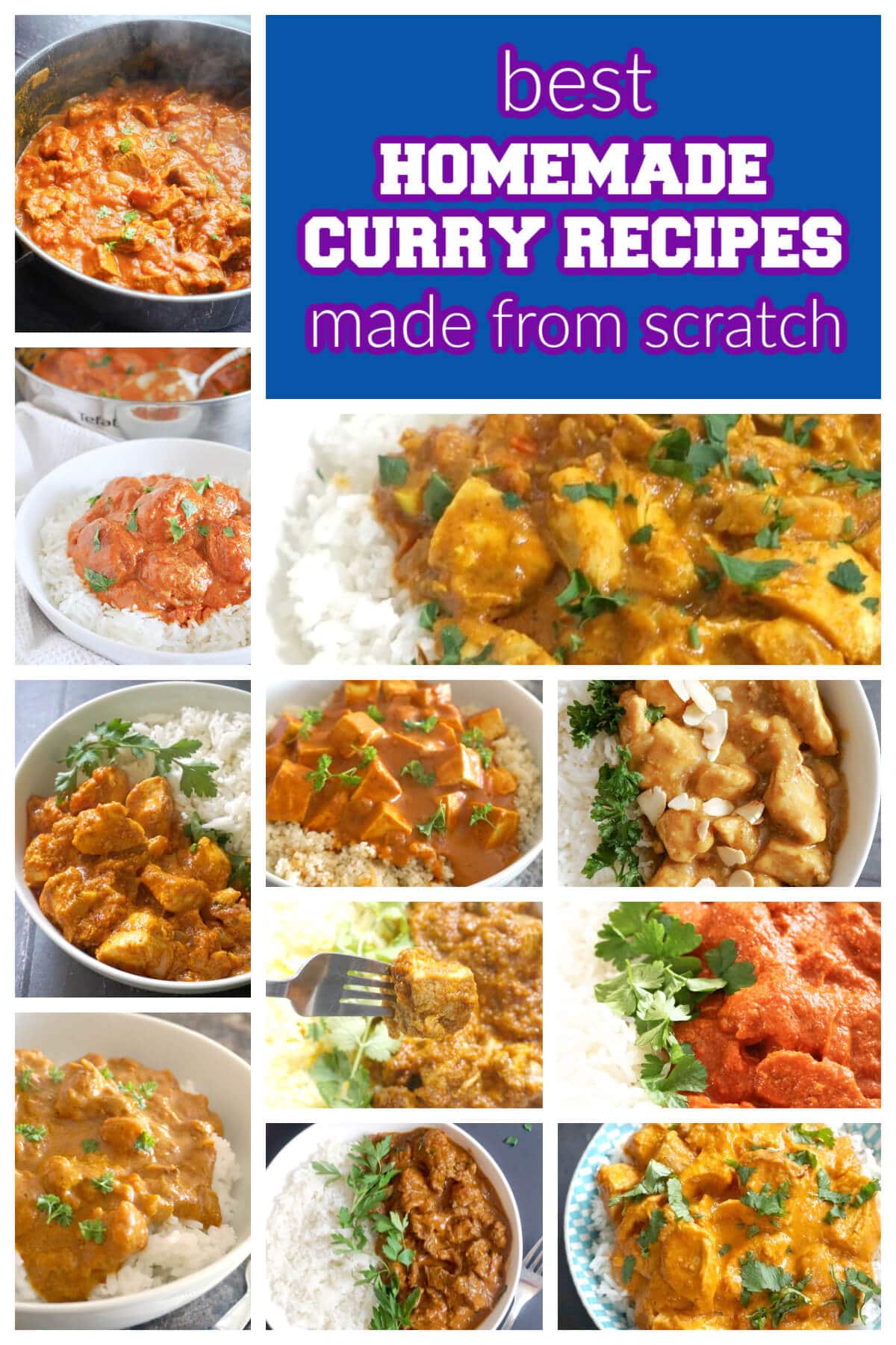 Collage of pictures with homemade curry recipes