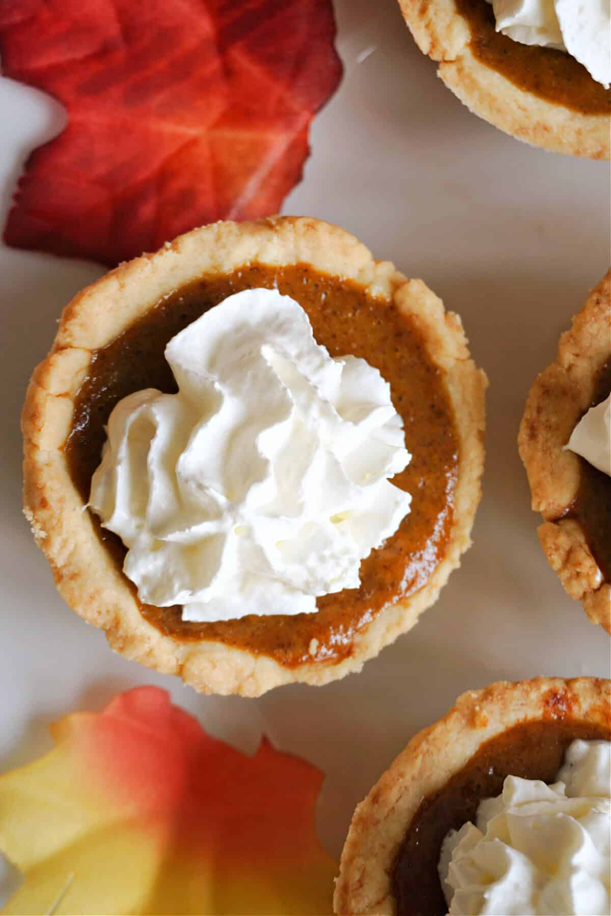 Overhead shoot of a mini pumpkin pie topped with whipped cream.