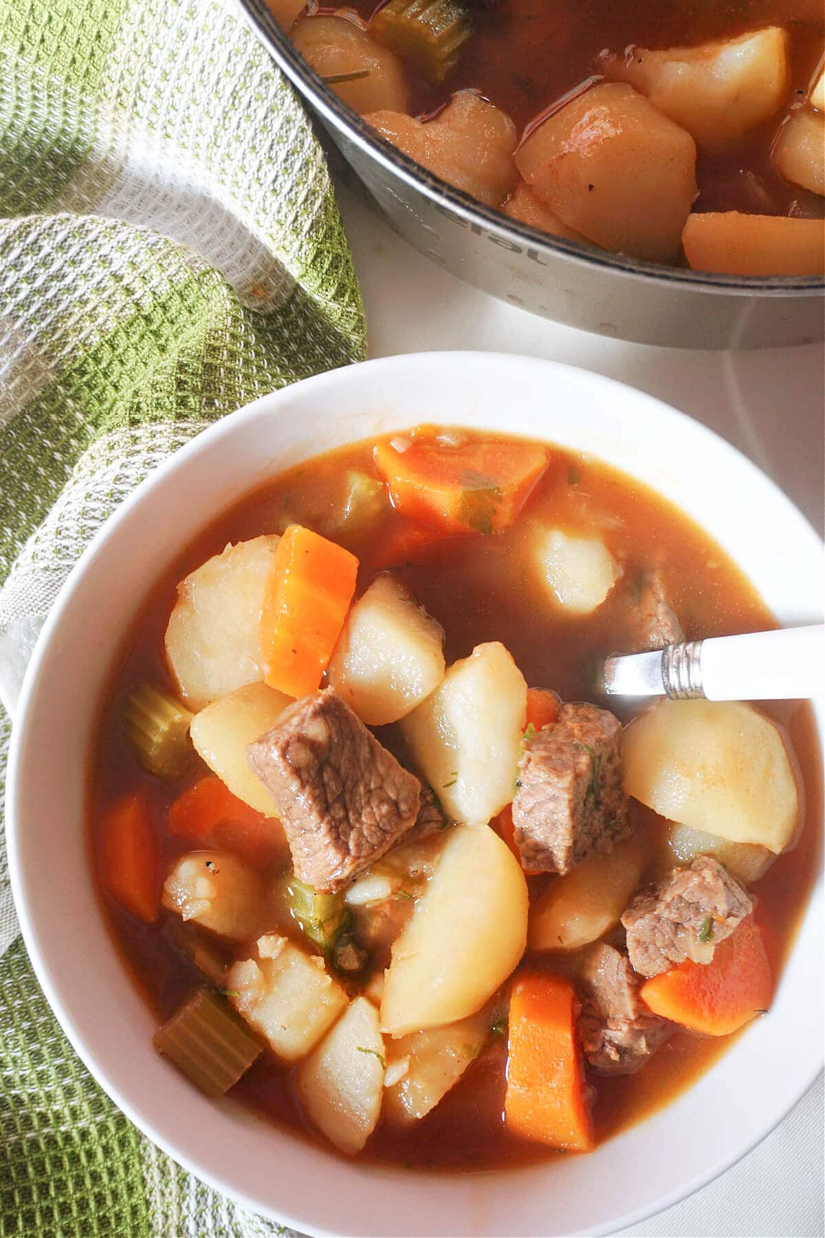 Overhead shoot of a white bowl with beef and veggie stew.