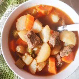 Overhead shoot of a white bowl with beef stew