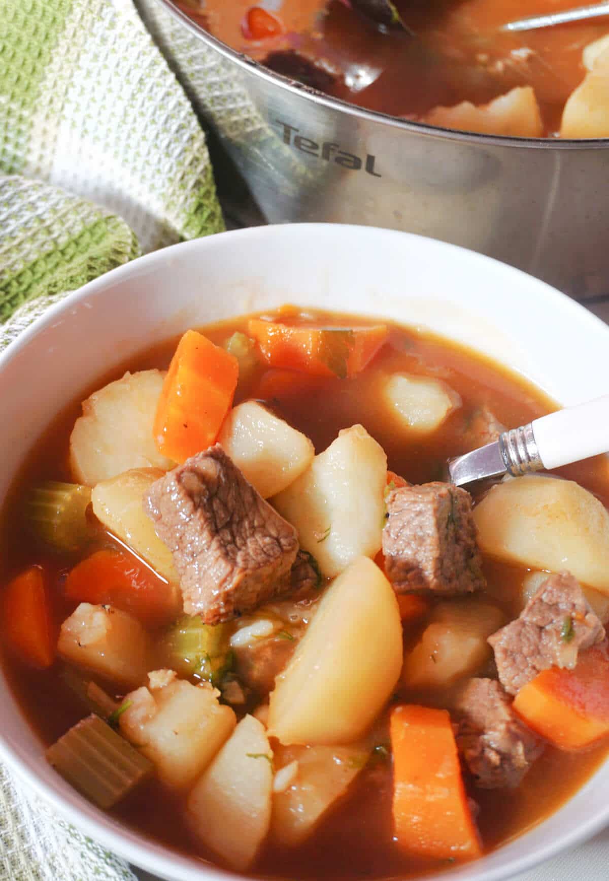 A bowl with beef and veggie stew.