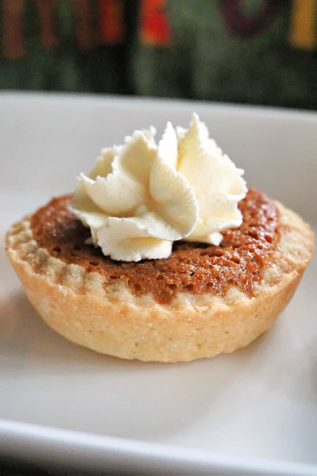 A mini pumpkin pie on a white plate.