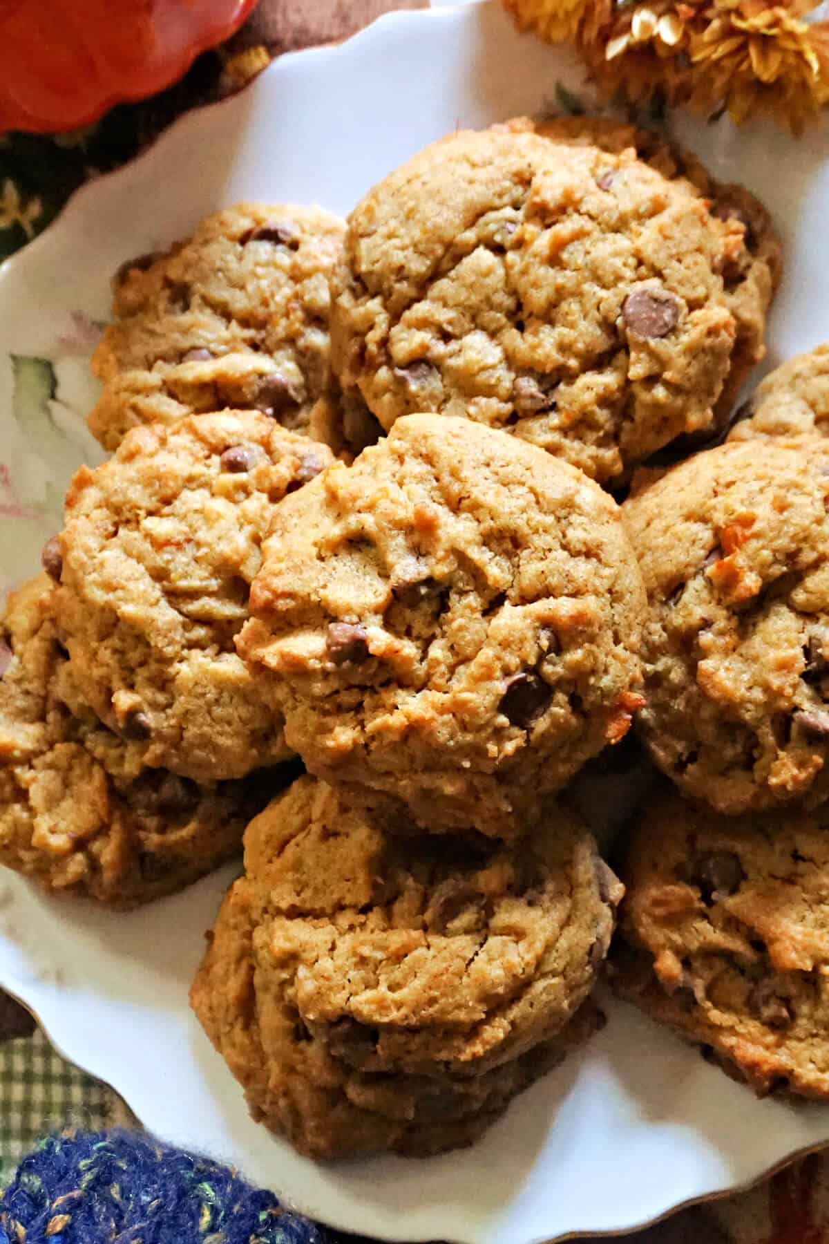A plate with chocolate chip cookies.