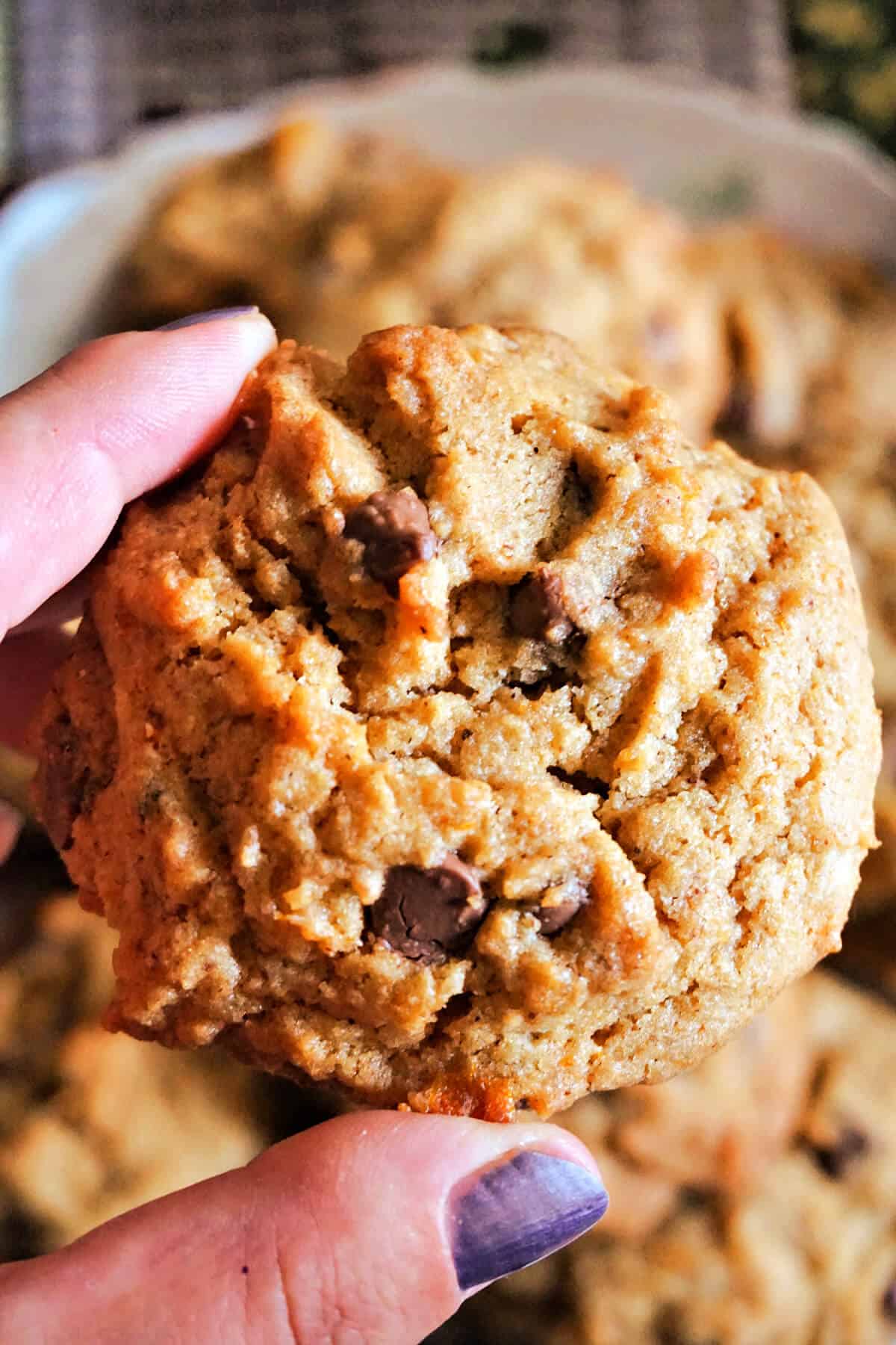A hand holding a chocolate chip cookie.