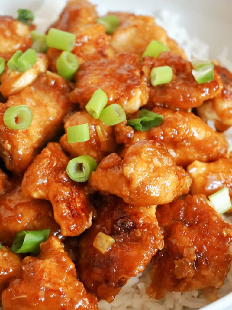 Close-up shoot of chicken pieces on a bed of rice topped with chopped spring onions