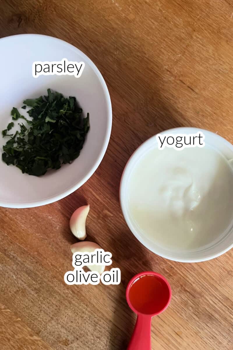 Ingredients used to make a yogurt dip.