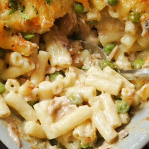 Close-up shoot of a dish with tuna pasta bake