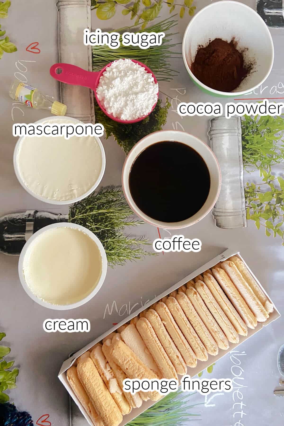 Ingredients needed to make tiramisu.