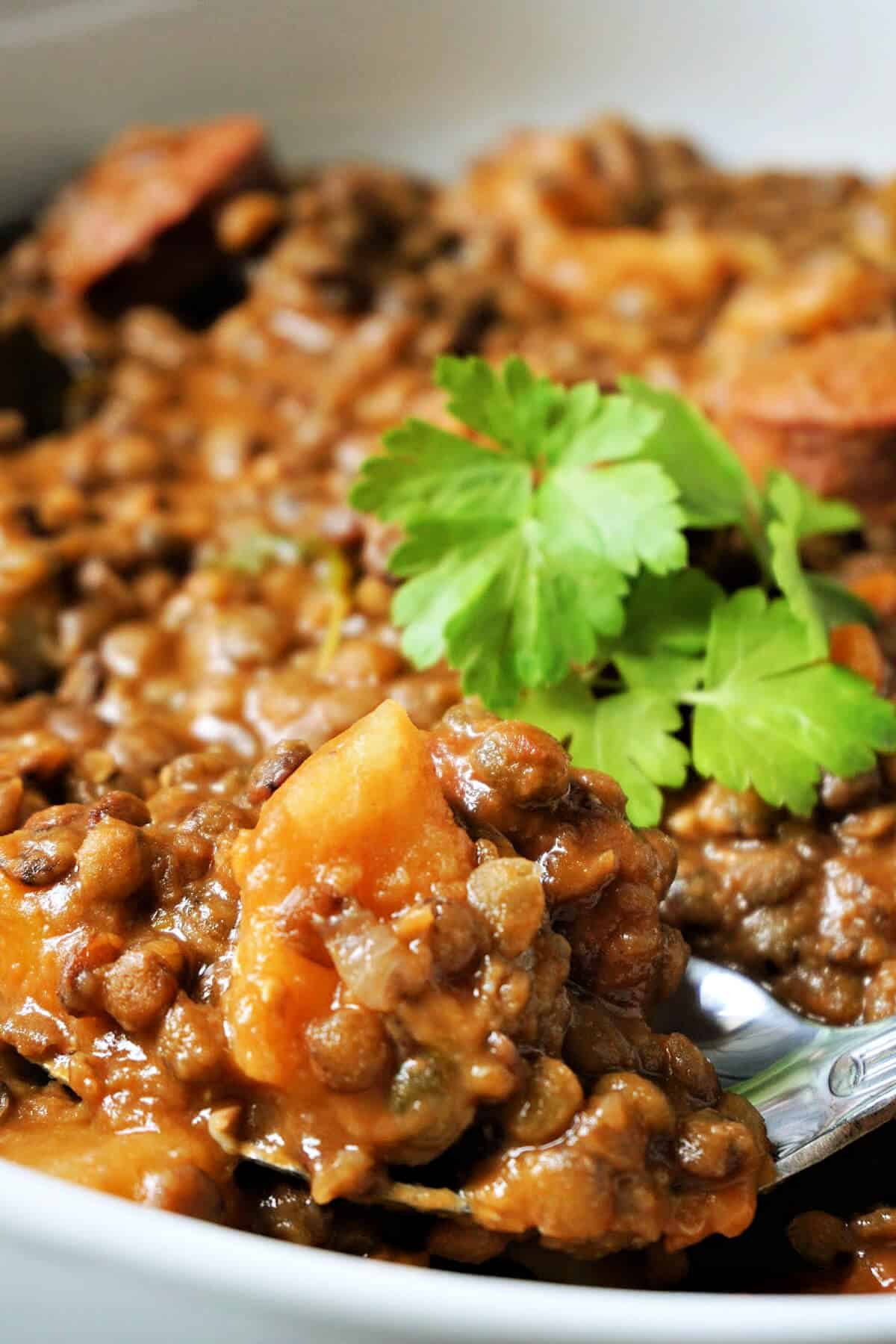 Close-up shoot of a dish with lentil stew.
