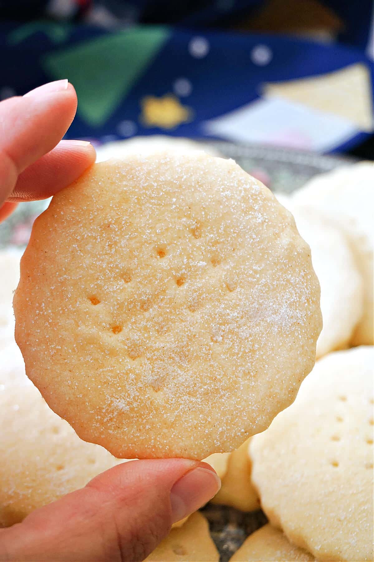 A shortbread cookie held by hand.