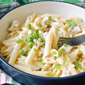 A white bowl with leftover turkey pasta with alfredo sauce and peas.