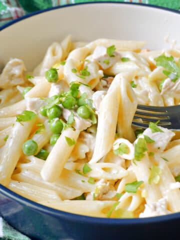 A white bowl with leftover turkey pasta with alfredo sauce and peas.