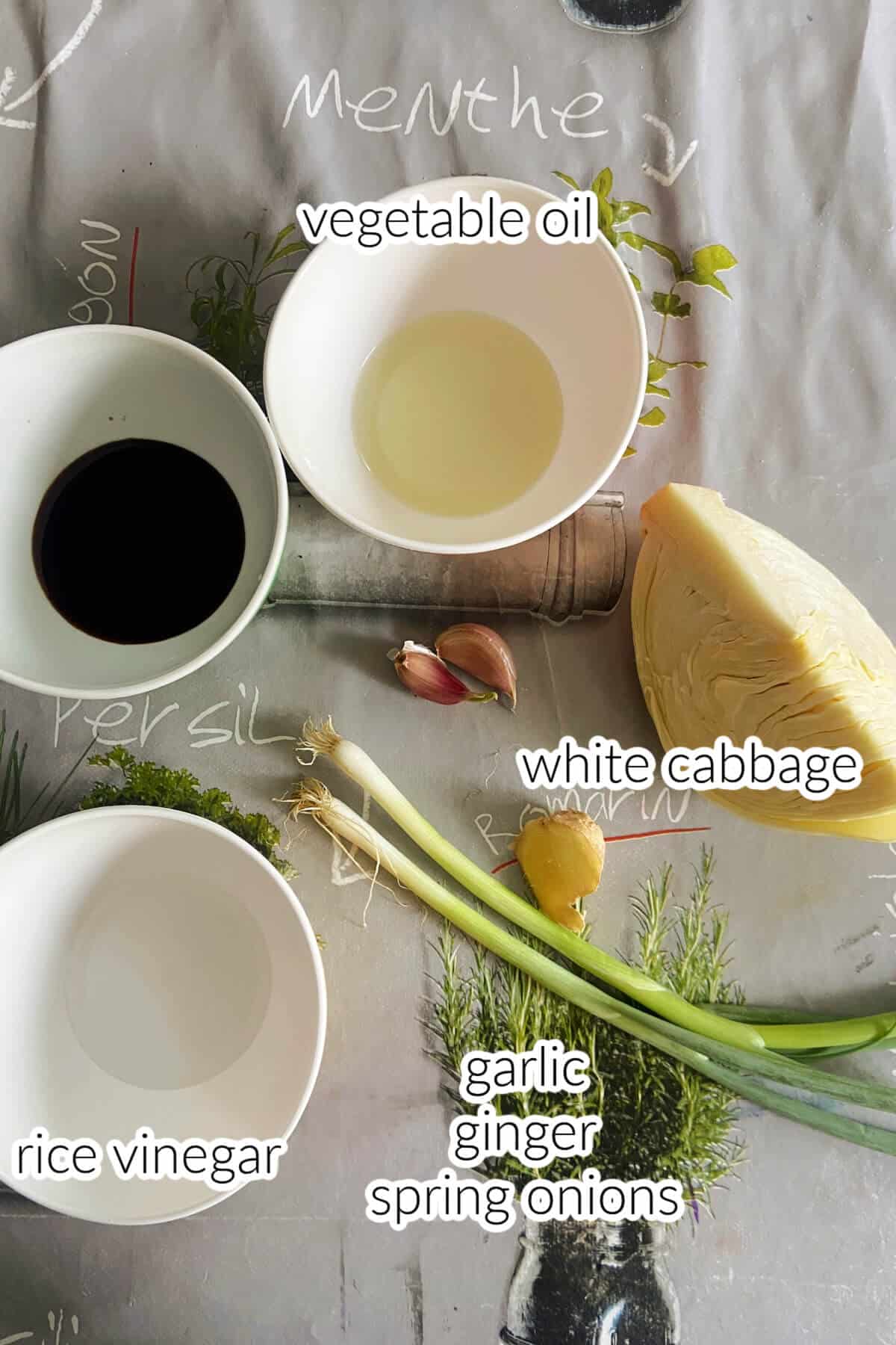 Ingredients used to make Chinese stir fry with cabbage.