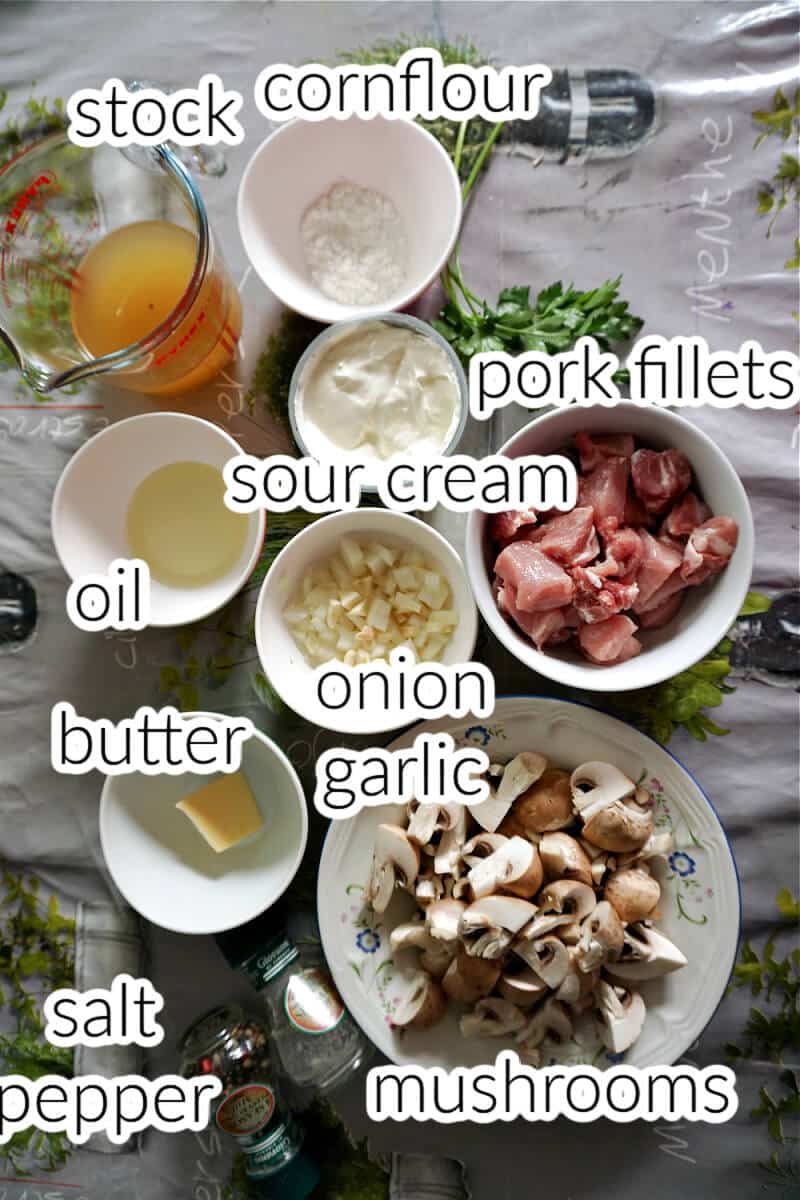 Ingredients used to make pork stroganoff.