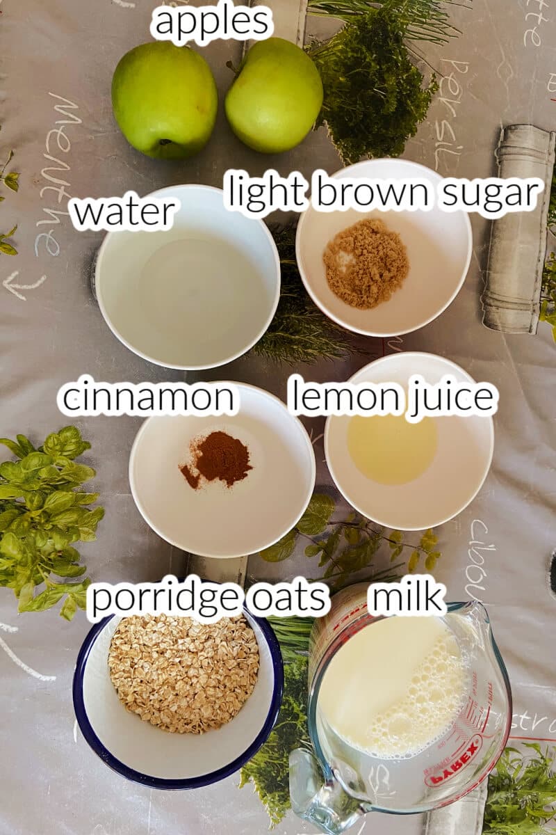 Ingredients needed to make apple and cinnamon porridge.