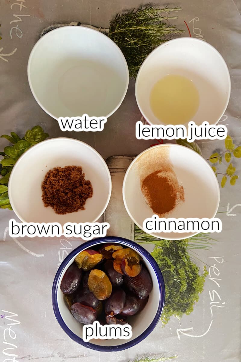 Ingredients needed to make plum compote.
