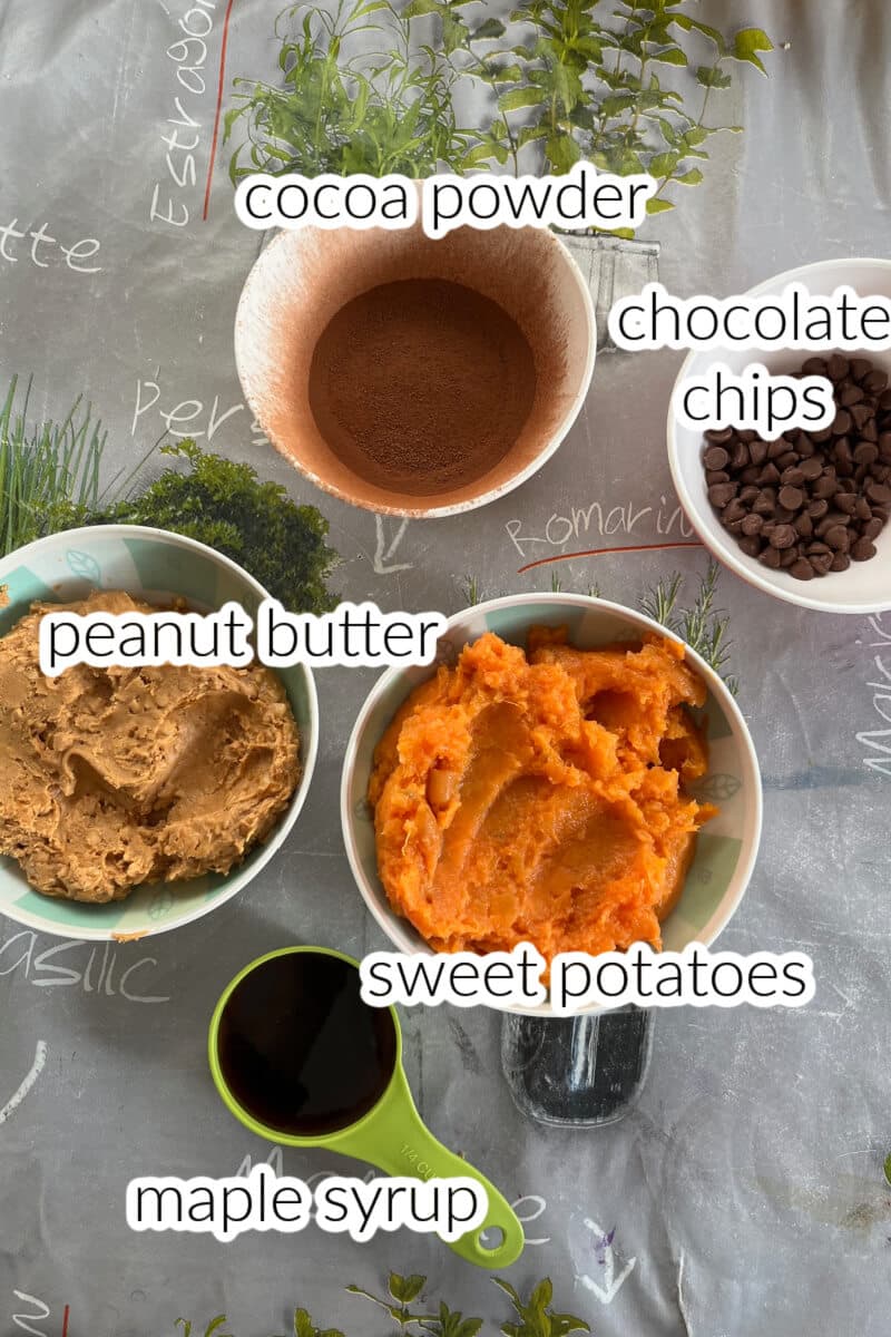 Ingredients used to make sweet potato brownies.