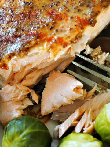 Close-up shoot of a salmon fillet with brussels sprouts on a plate.