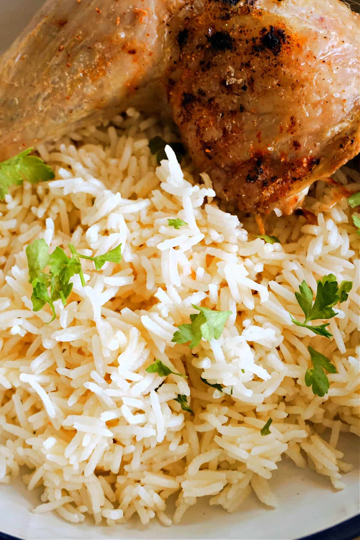 A bowl with a roasted chicken leg and rice.