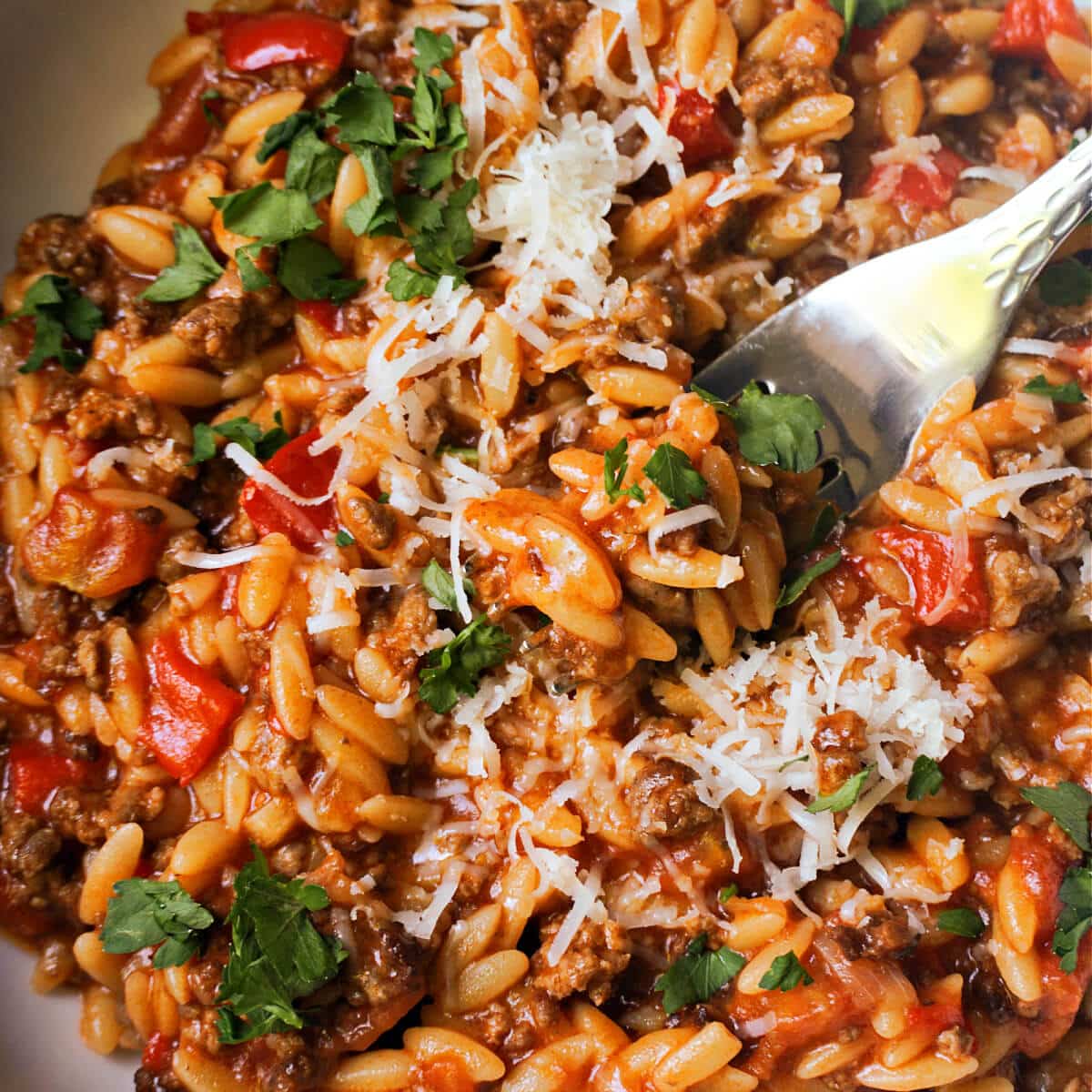 Beef Orzo