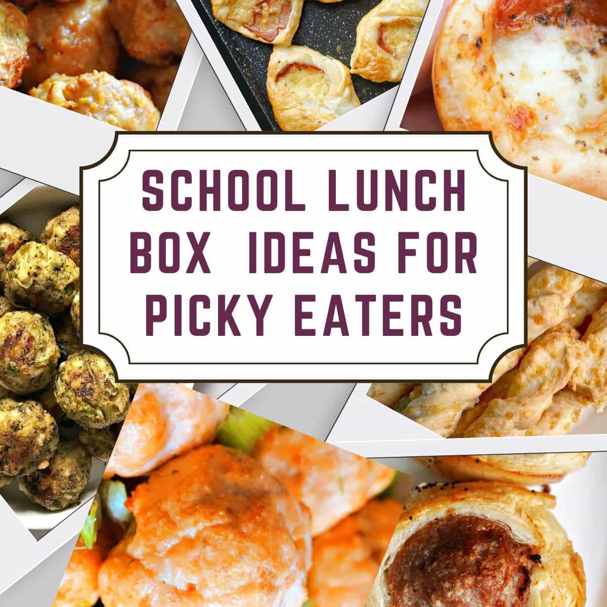 School Lunch Ideas For Picky Eaters My Gorgeous Recipes