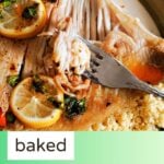 A plate with a skate wing beign shredded by a fork over a bed of couscous.