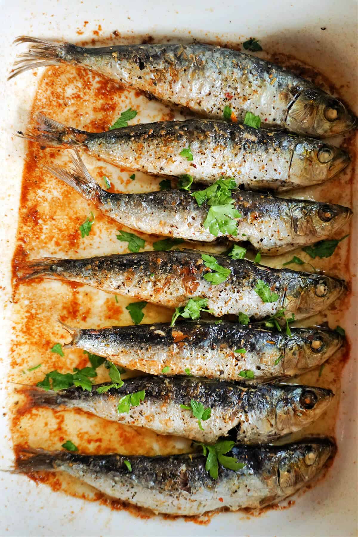 A white dish with baked sardines garnished with chopped parsley.