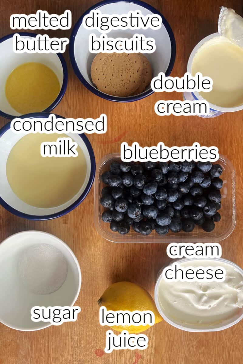 Ingredients used to make blueberry cheesecake ice cream.