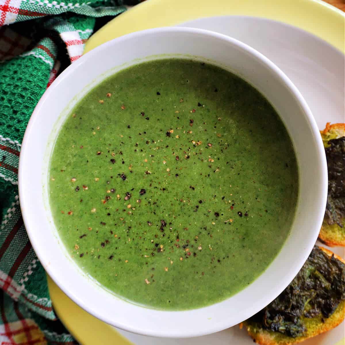 Stinging Nettle Soup