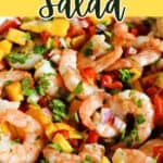 Close-up of a mango and shrimp salad.