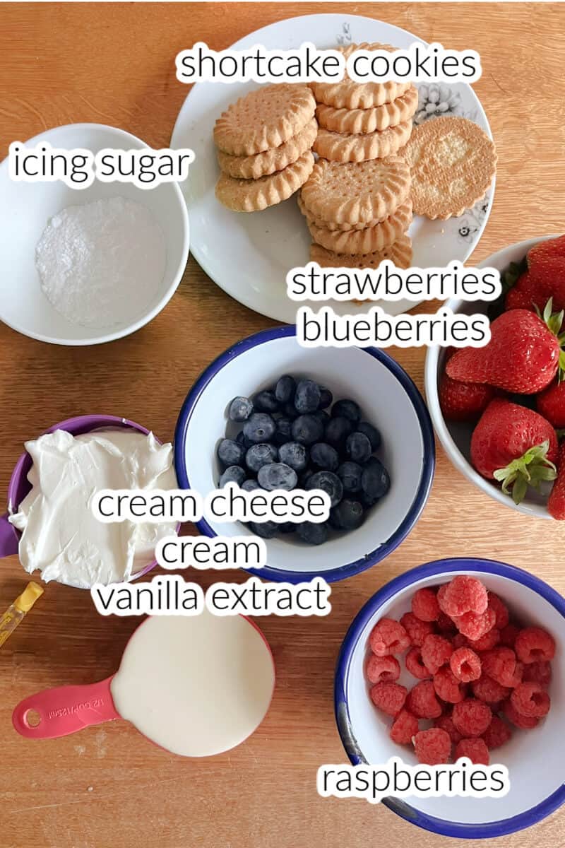 Ingredients used to make cheesecake dip.
