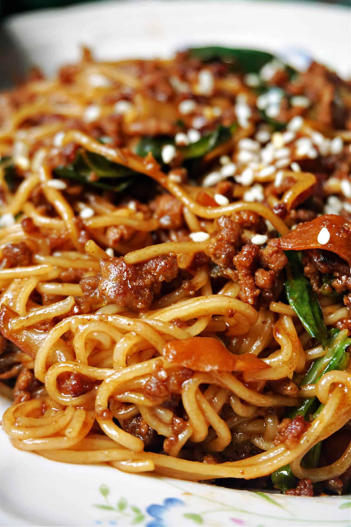 Close-up of a portion of noodles with ground beef and veggies.