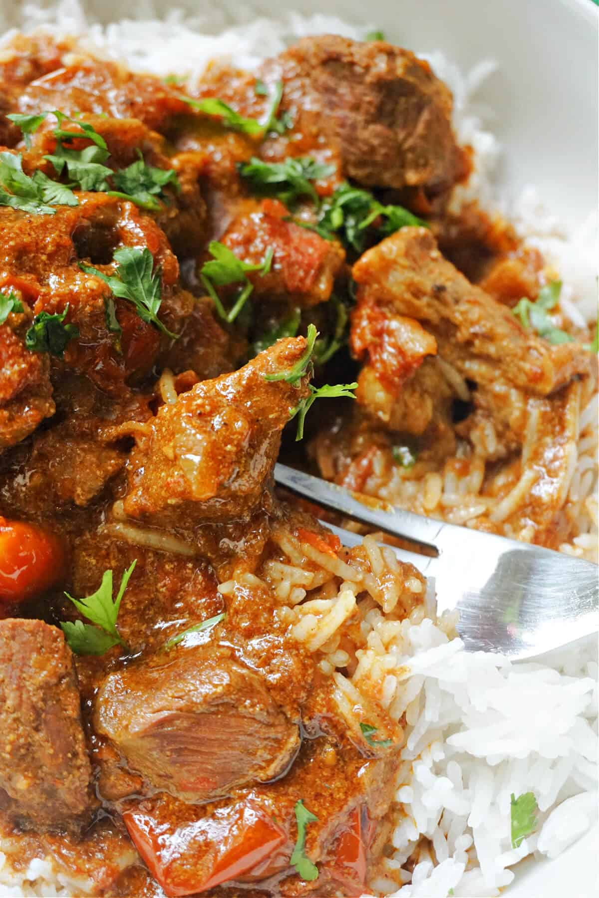 Close-up of beef curry over a bed of rice with a forkful of curry.