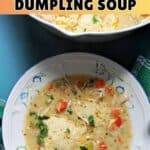A white flowery plate with a portion of chicken and dumpling soup and a partially-visible pot with more soup.