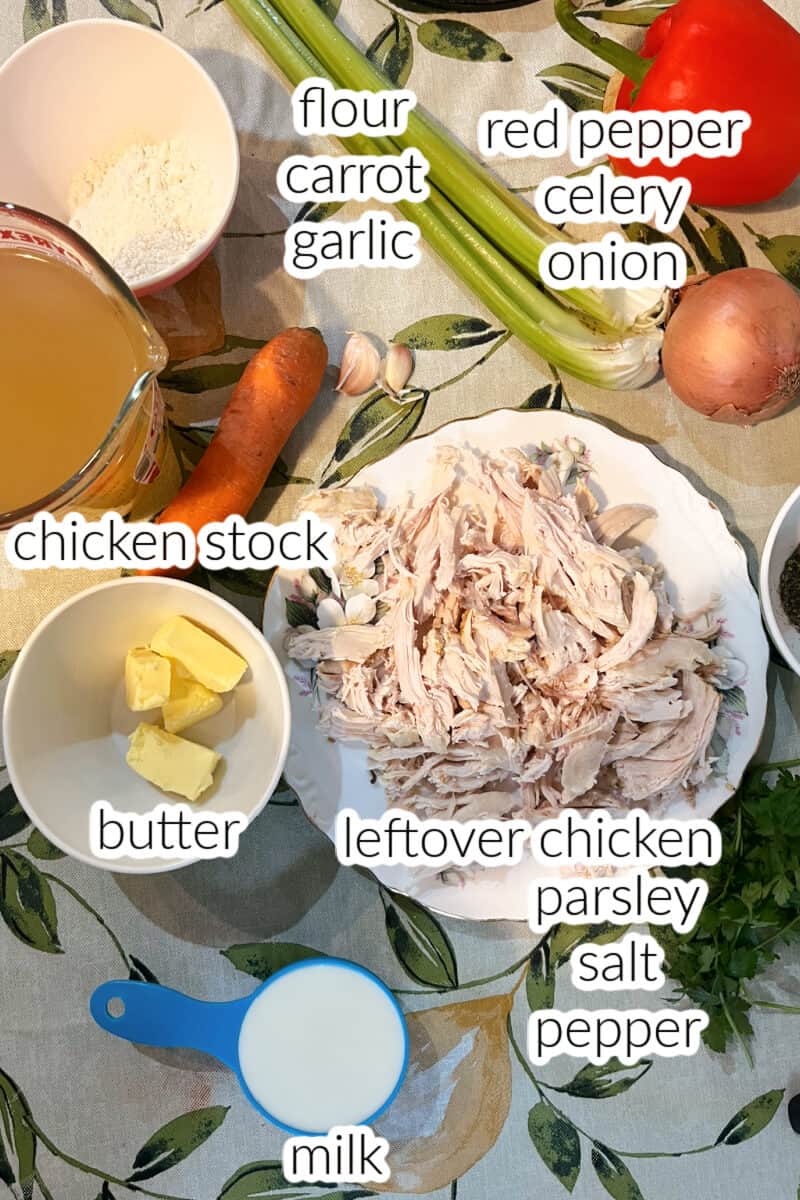 Ingredients used to make chicken soup.