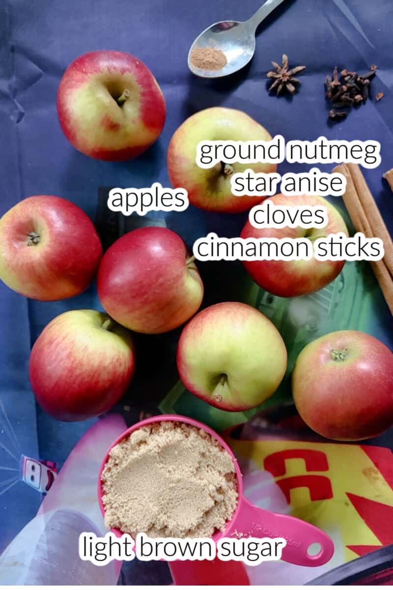 Ingredients used to make apple cider.