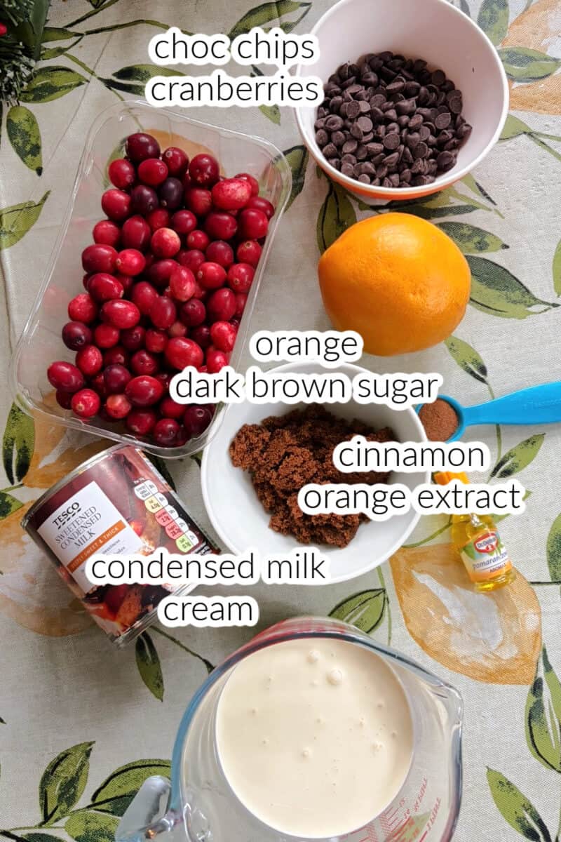 Ingredients used to make cranberry ice cream.
