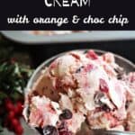 A dessert glass with ice cream topped with chocolate chips.