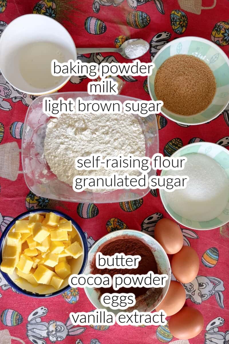 Ingredients displayed for making a chocolate sponge.