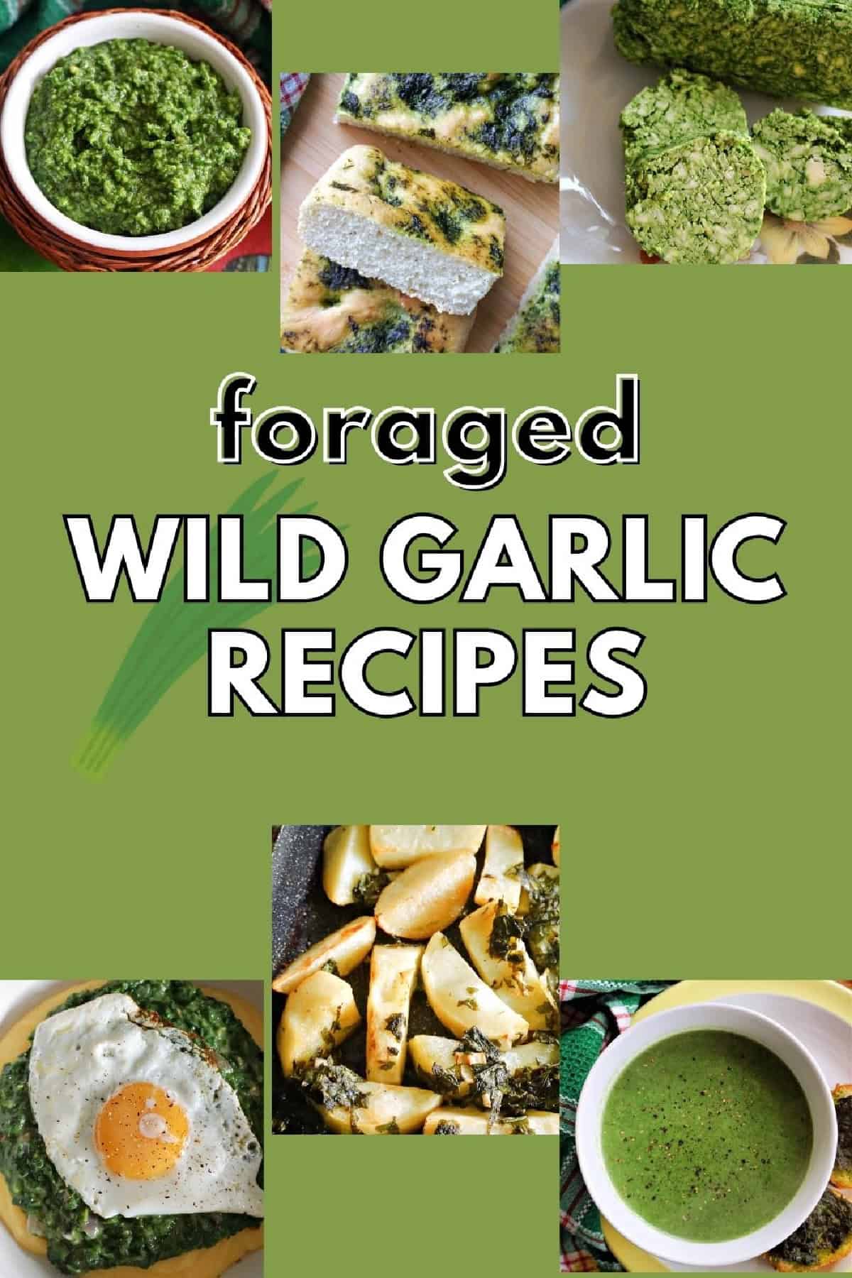 Collection of wild garlic recipes.