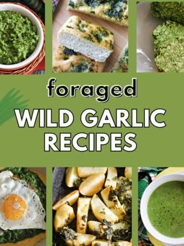 A collection of foraged wild garlic recipes.