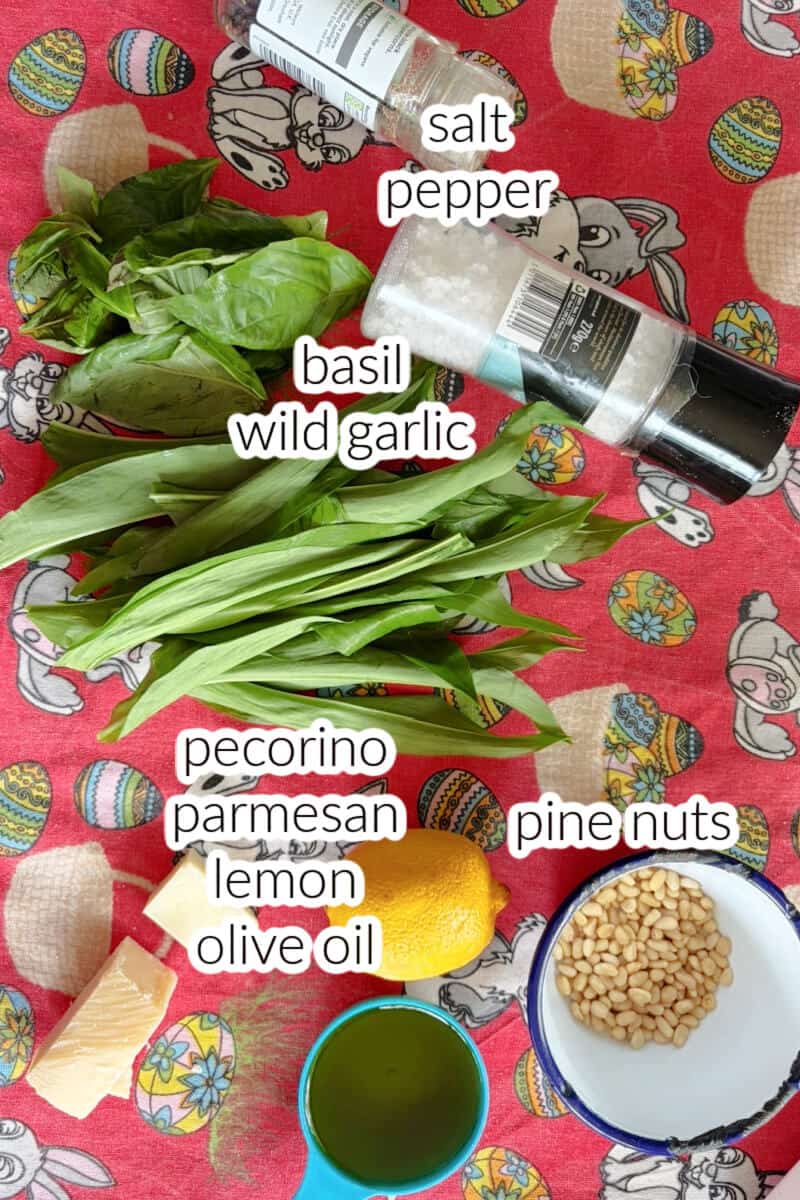 Ingredients listed for making pesto with wild garlic.