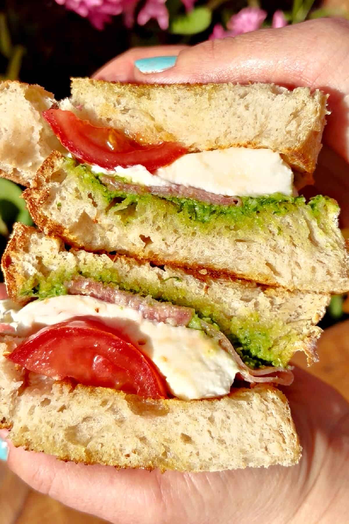 A halves of a sandwich with pesto, mozzarella, tomatoes and salami.