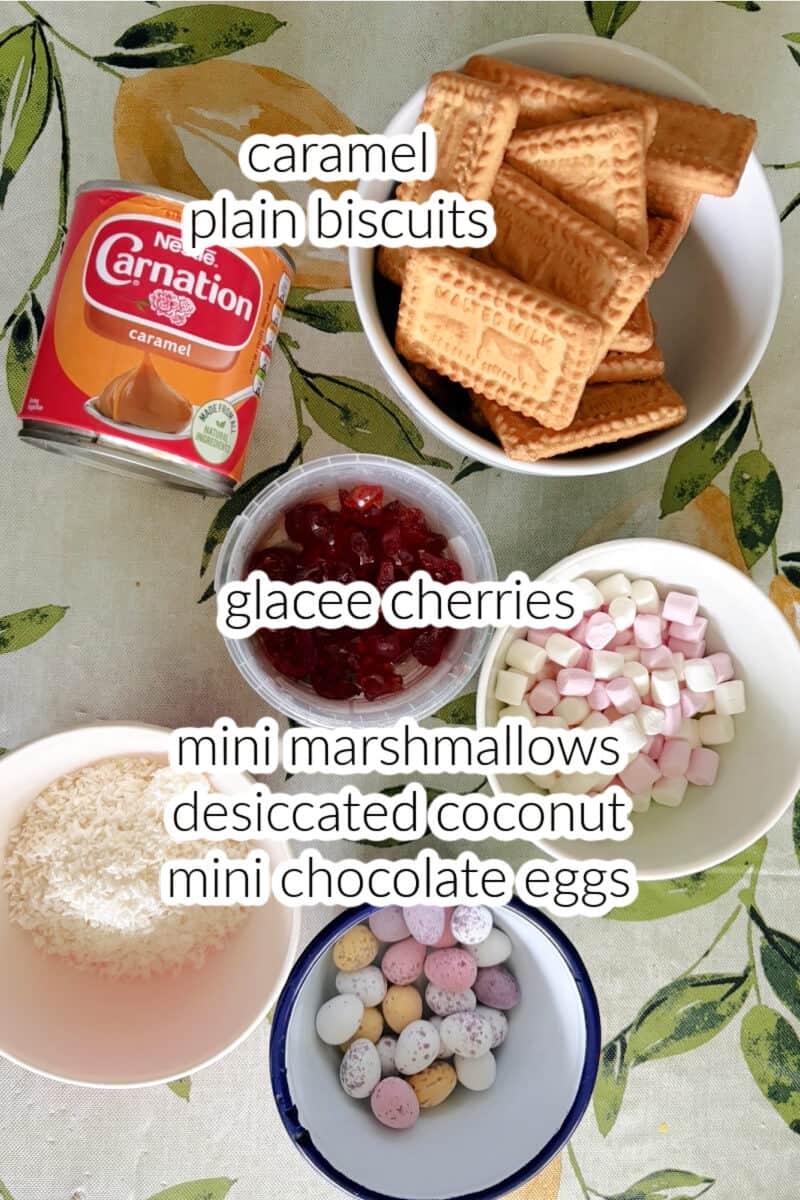 Ingredients displayed for making fifteens.