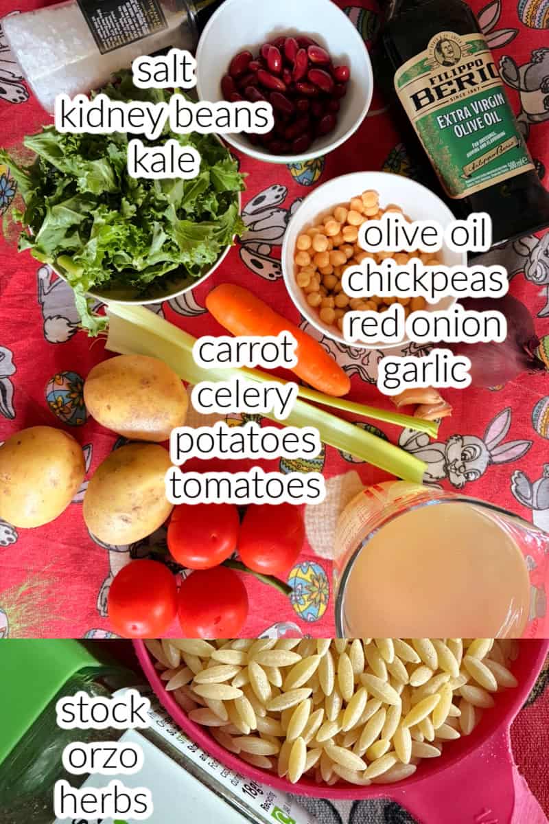 Ingredients displayed to make minestrone soup.