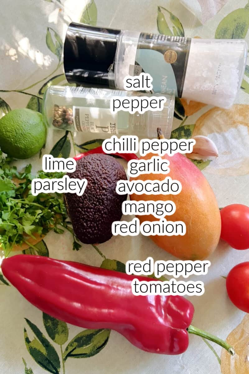 Ingredients displayed for making salsa.