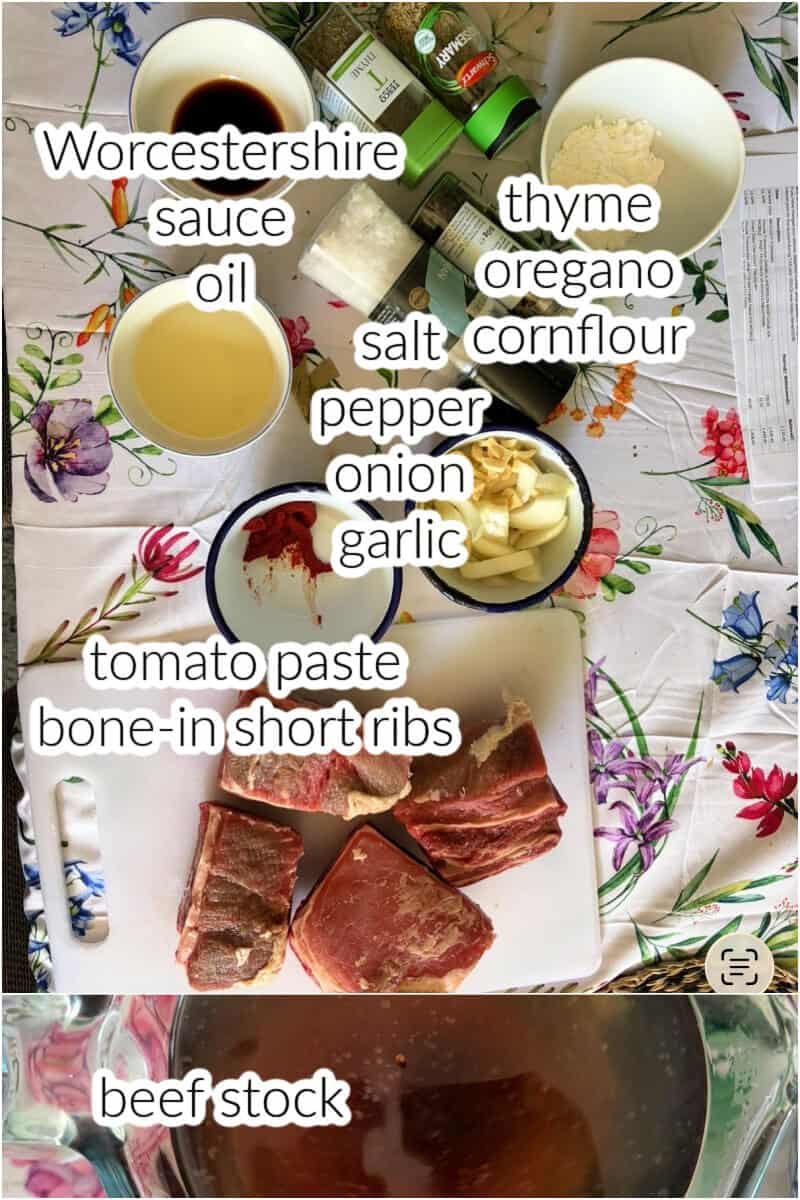 Ingredients displayed for making beef short ribs in the crockpot.