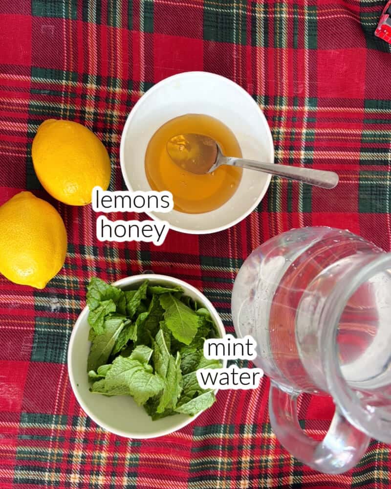 Ingredients displayed on the table for making mint lemonade sweetened with honey.