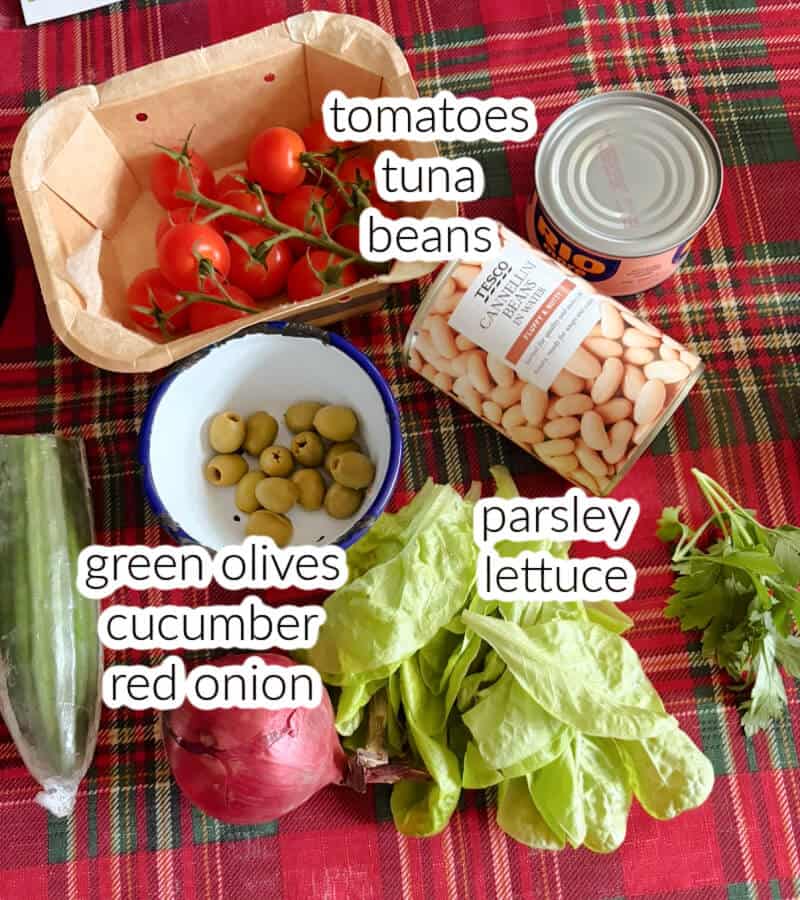 Ingredients needed to make the salad.
