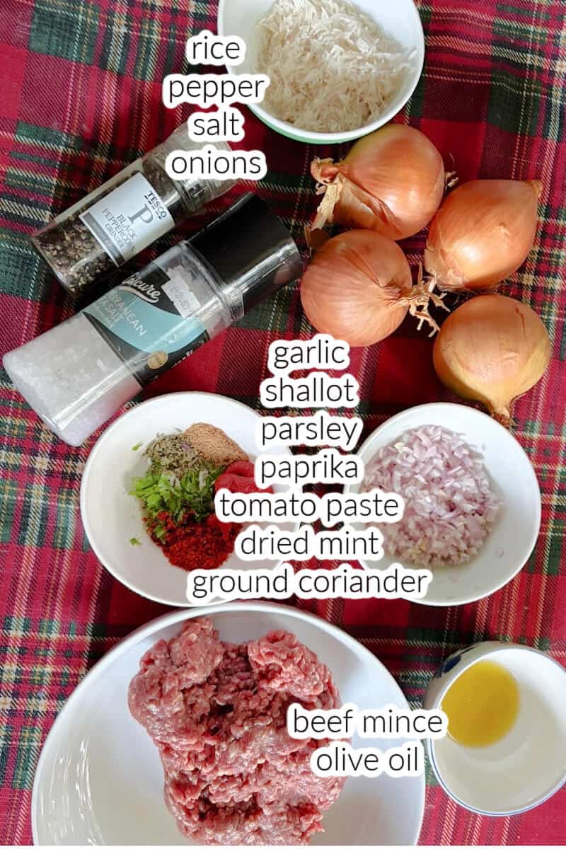 Ingredients displayed for making onion stuffing.